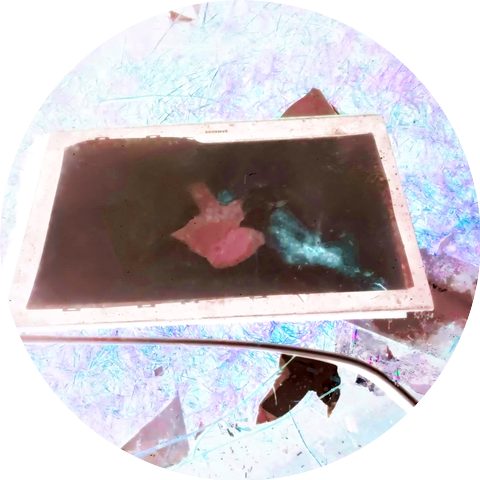 icewings