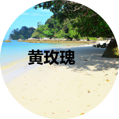 黄玫瑰