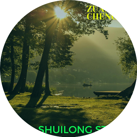 Wang Yihan