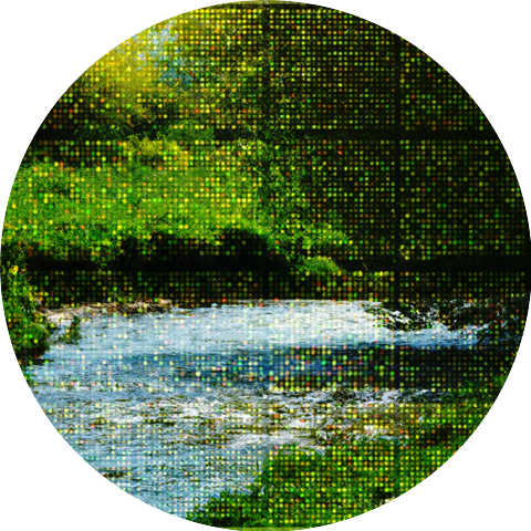 Rippling Stream Echoes