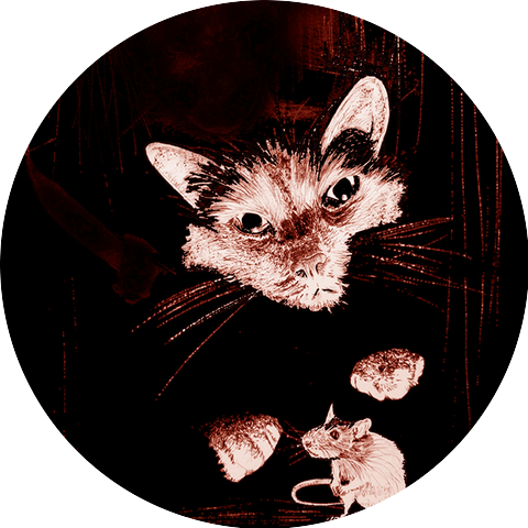 Black Cat Ballroom