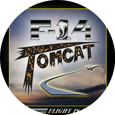 F-14 Tomcat