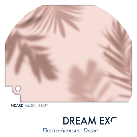 Standard Music Library