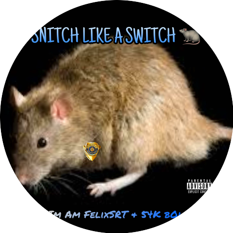 Im Am FelixSRT
