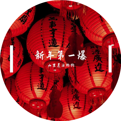 山里灵活的狗