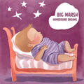 Big Marsh