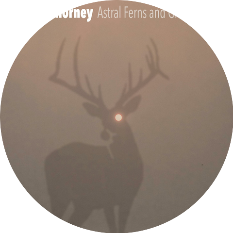 Michael Chorney