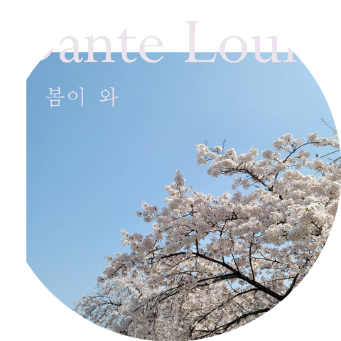 단테 루이스