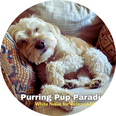Woofy Wellness & Doggys Dreamland