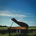 Silence Concertos