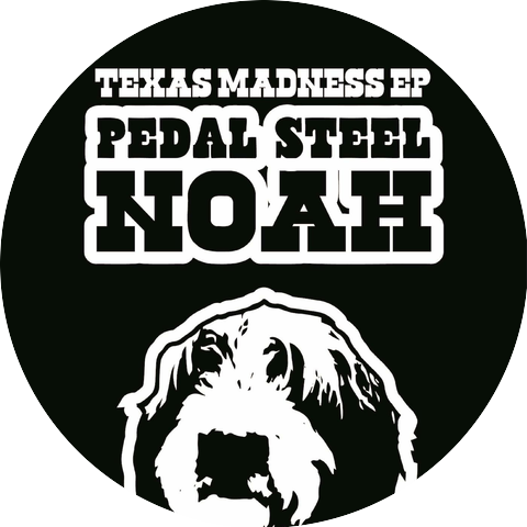 Pedal Steel Noah