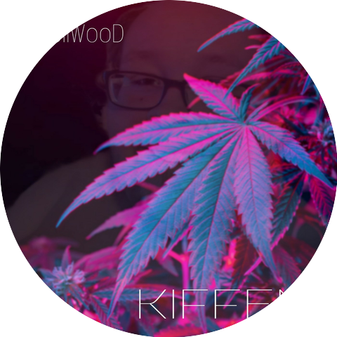 TobiiWooD