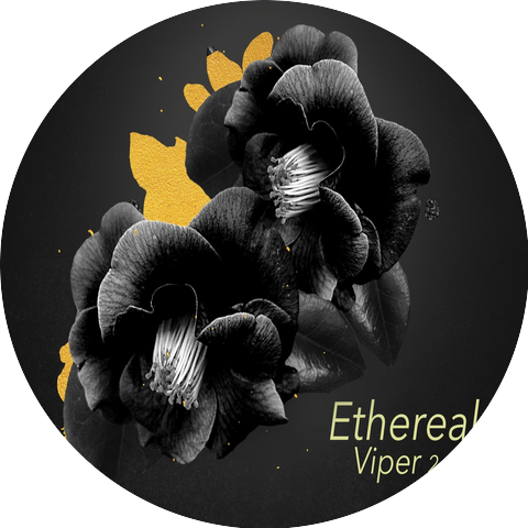 Viper 2.0