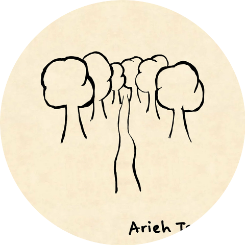 Arieh Temkin