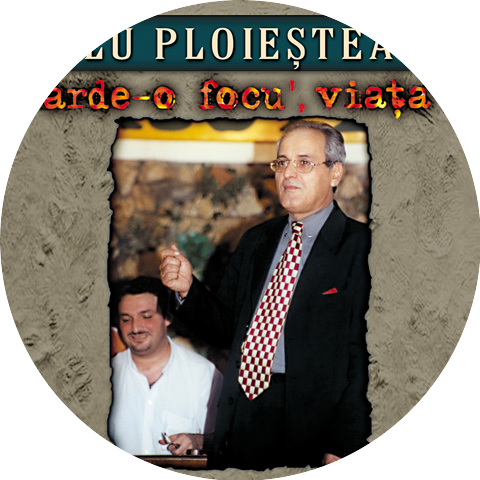 Nelu Ploiesteanu