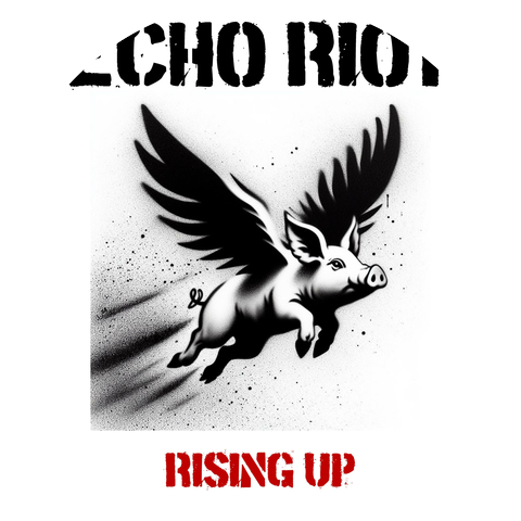 Echo Riot