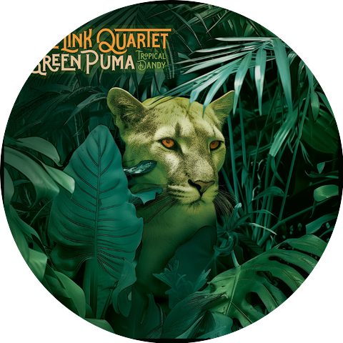The Link Quartet