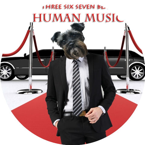 Three Six Seven Beats