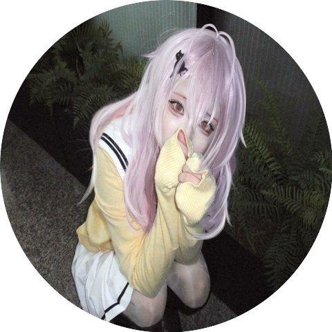 evn4dwin