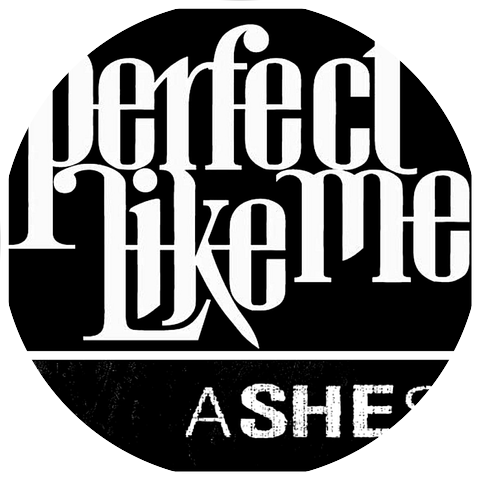 Perfect Like Me