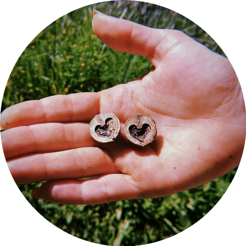 Daniel Wright Goldberger