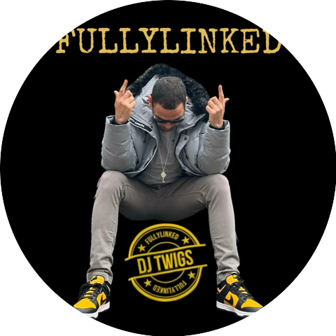 DJ TWIGS FULLYLINKED