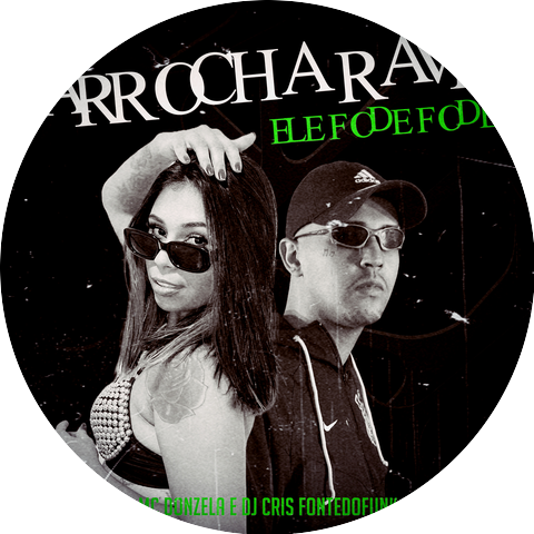 DJ Cris Fontedofunk & Mc Donzela