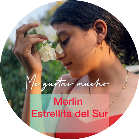 Merlin Estrellita del Sur