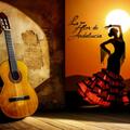 Danza Estelar