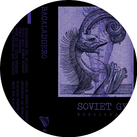SOVIET GYM