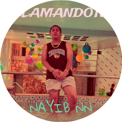 Nayib NN