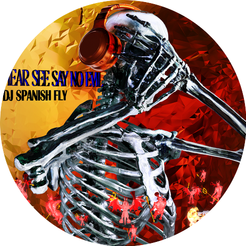 DJ Spanish Fly