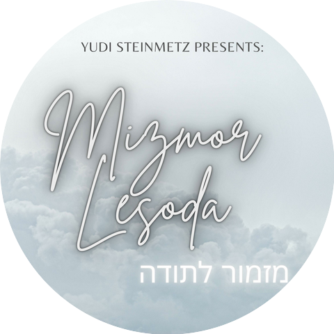 Yudi steinmetz