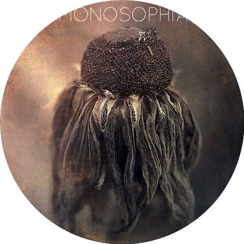 Monosophia