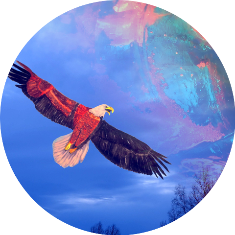 Николай Мороз