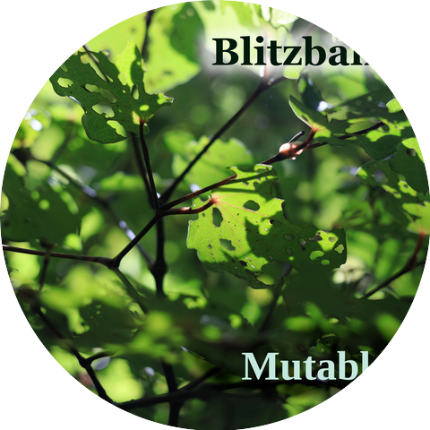 Blitzbahn