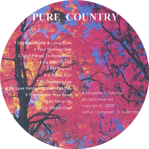 The Pure Country Band