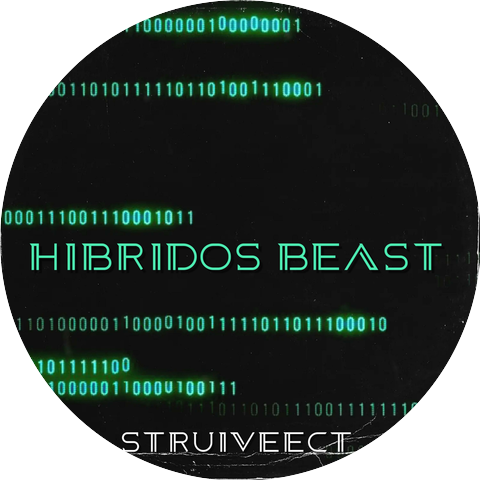 Struiveect