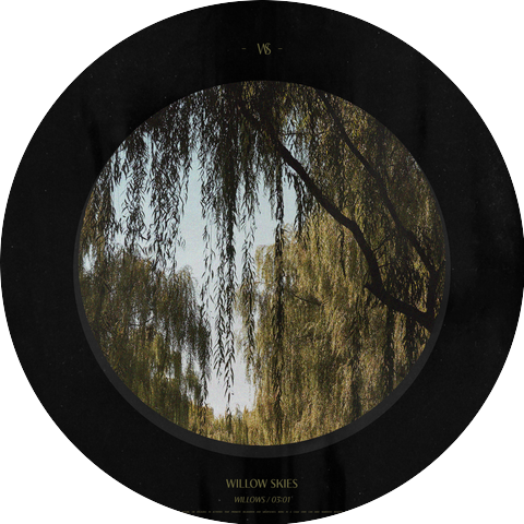 Willow Skies
