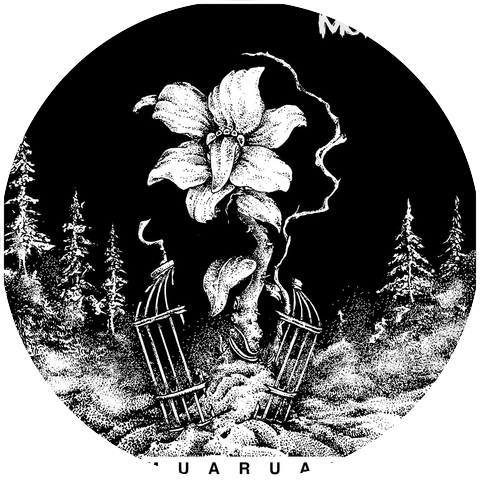 Morfossa