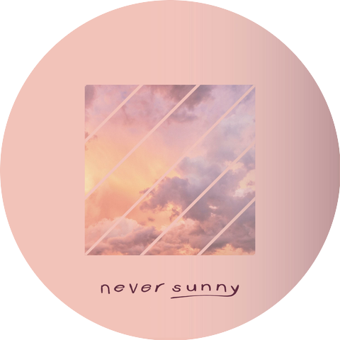 Never Sunny