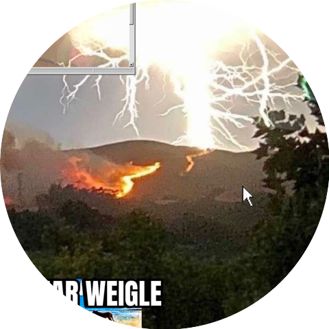 Bear Weigle