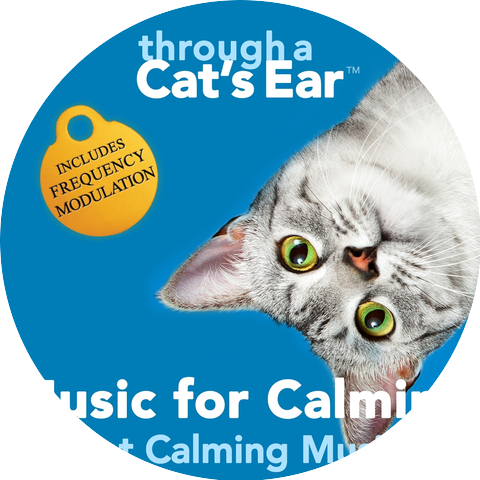 Through A Cat's Ear