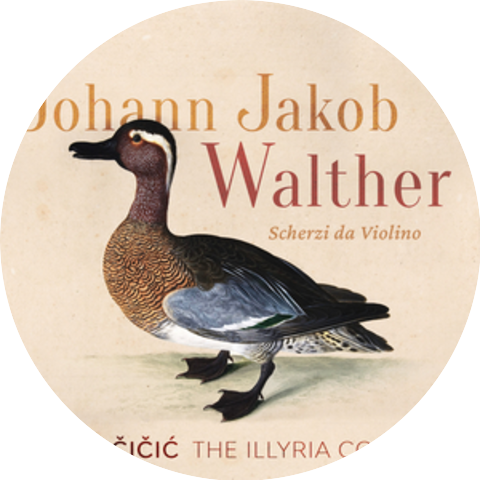 Bojan Čičić & The Illyria Consort