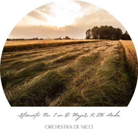 Orchestra de Nico
