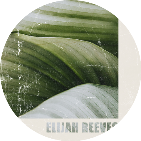 Elijah Reeves