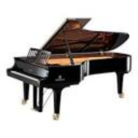 nutriologo musical