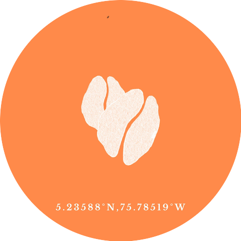 Kevin Fernandez Montoya