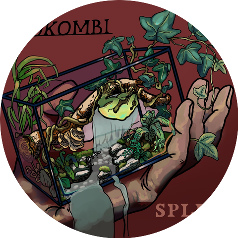 Pokombi