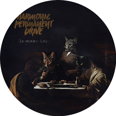 Harmonic Permanent Drive